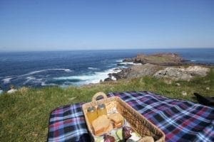 Picnic in Newfoundland