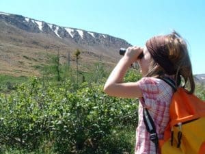 Newfoundland Hiking Newbie