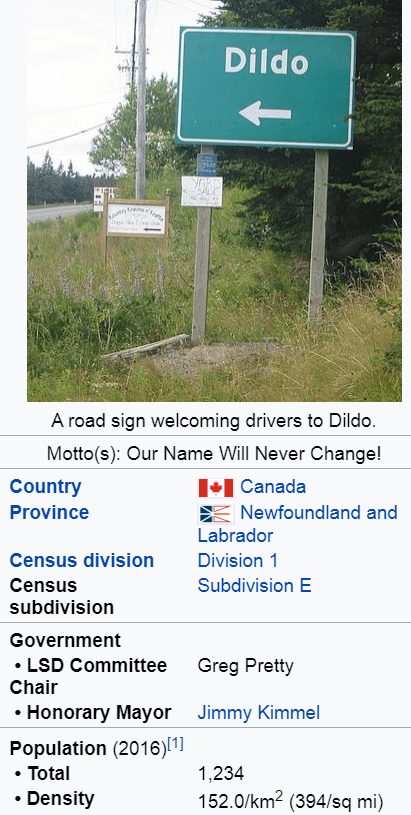 Dildo's Wikipedia page