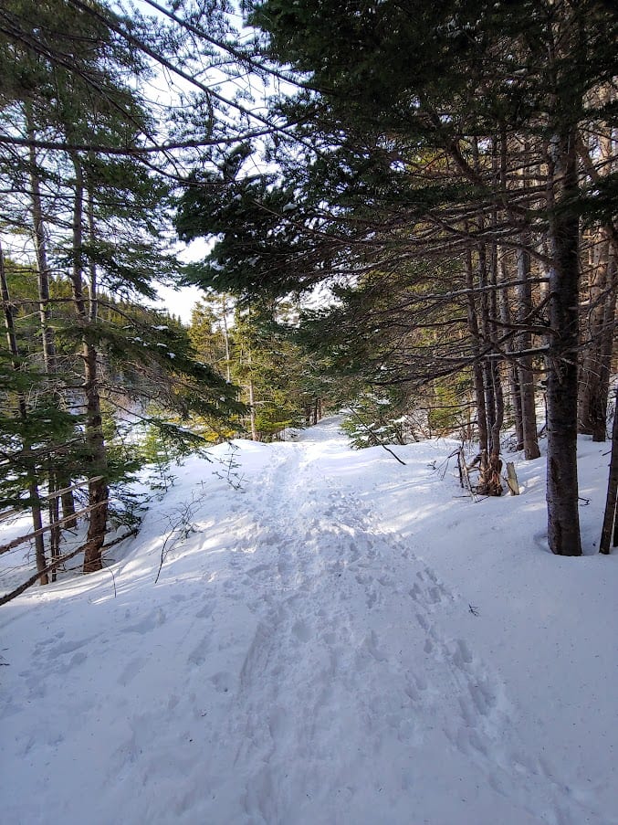 Most of the East Coast Trail is accessable in the Winter