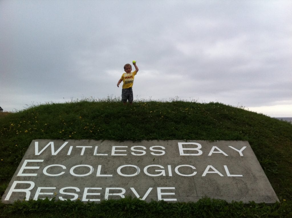 The Witless Bay Ecological Reserve