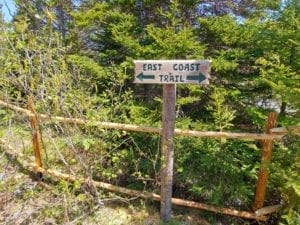 East Coast Trail, Tinkers Point Path Hike