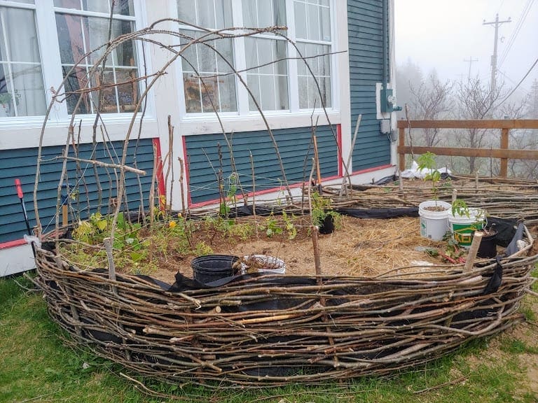 You'll find some ingenious way to grow you when you look across the fence