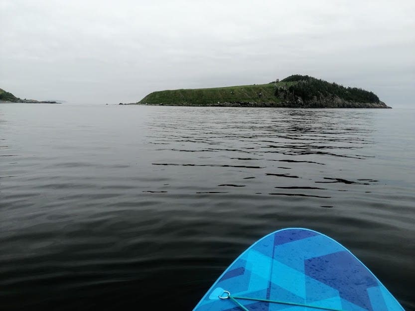 Fox Island is the first island you'll encounter when paddling from Tors Cove Wharf and the first destination for most paddleboarders and kayakers exploring the Witless Bay Marine Ecological Reserve's main islands.