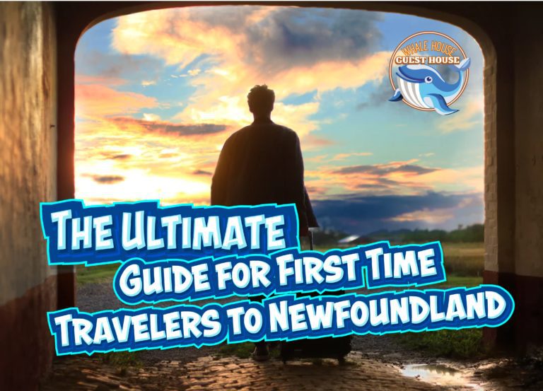 The Ultimate Guide to help First Time Travelers on their trip Newfoundland