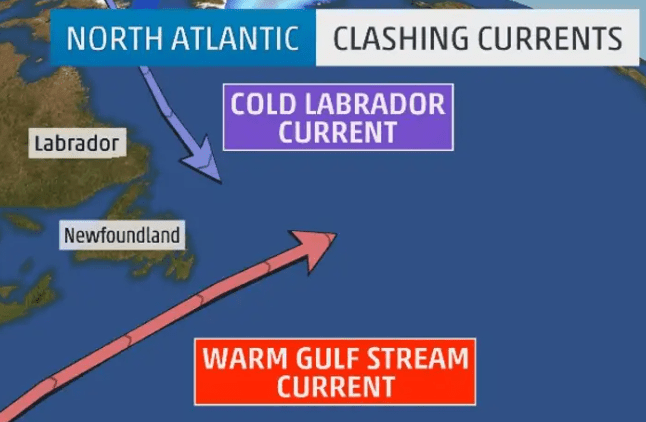 Changes to the North Atlantic Gulf Stream would mean drastic climate changes, especially for Newfoundland