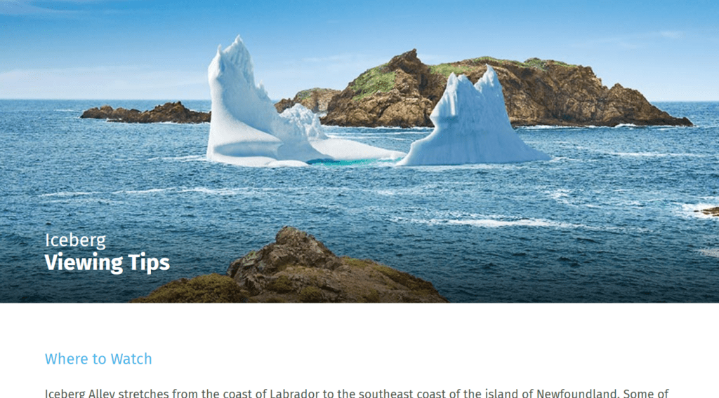The Viewing Tips page on the Iceberg Finder site is a great ersource while you're in Newfoundland