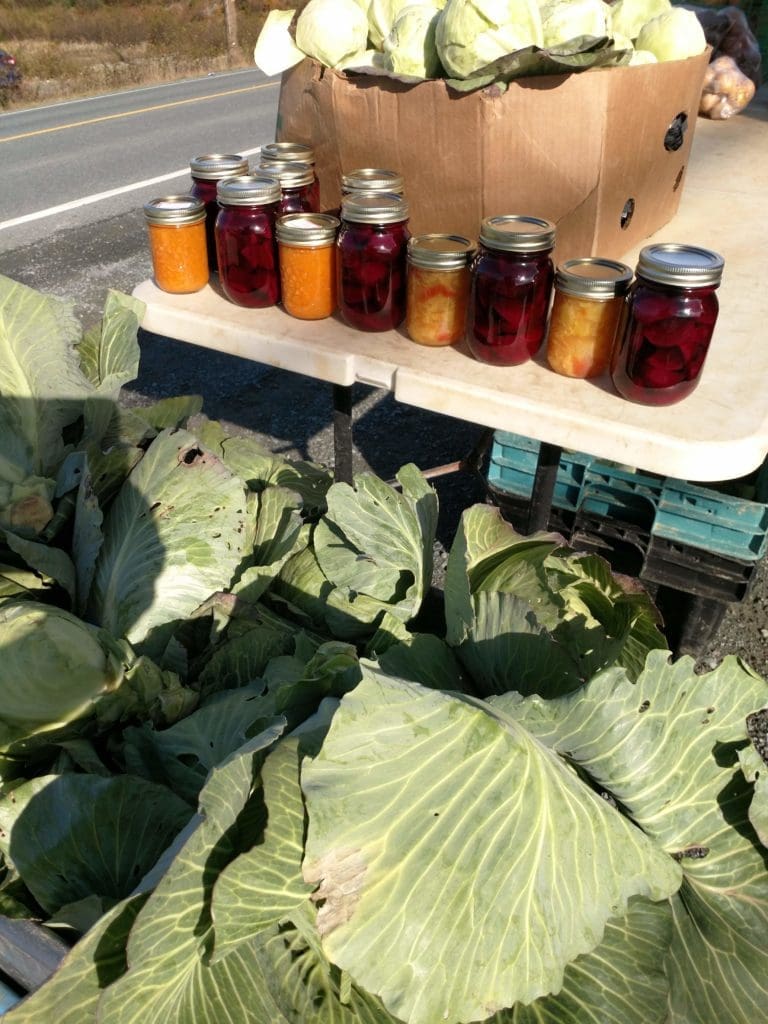 Closer to home, the Taylors' Fresh Fish and Vegetable Truck has been a staple on top of the hill in the Witless Bay Marine Ecological Reserve since most people can remember.