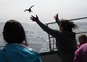 The Molly Bawn Whale & Puffin Tours crew is an important part of the Puffin Patrol.
