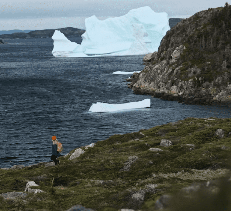 Seeing icebergs from shore in Newfoundland